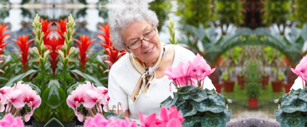 Happy elderly woman looking at pink flowers